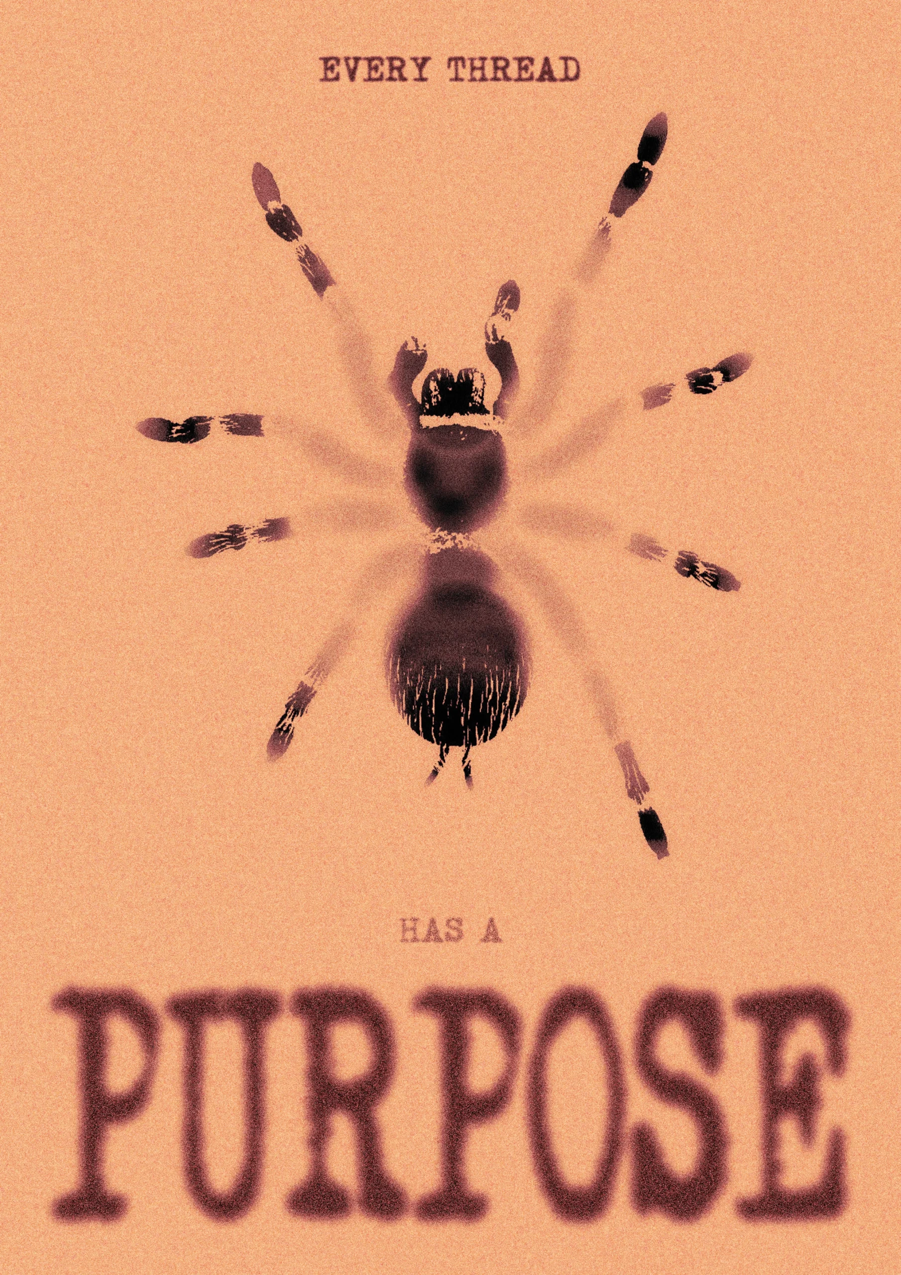 spider copia spider copia