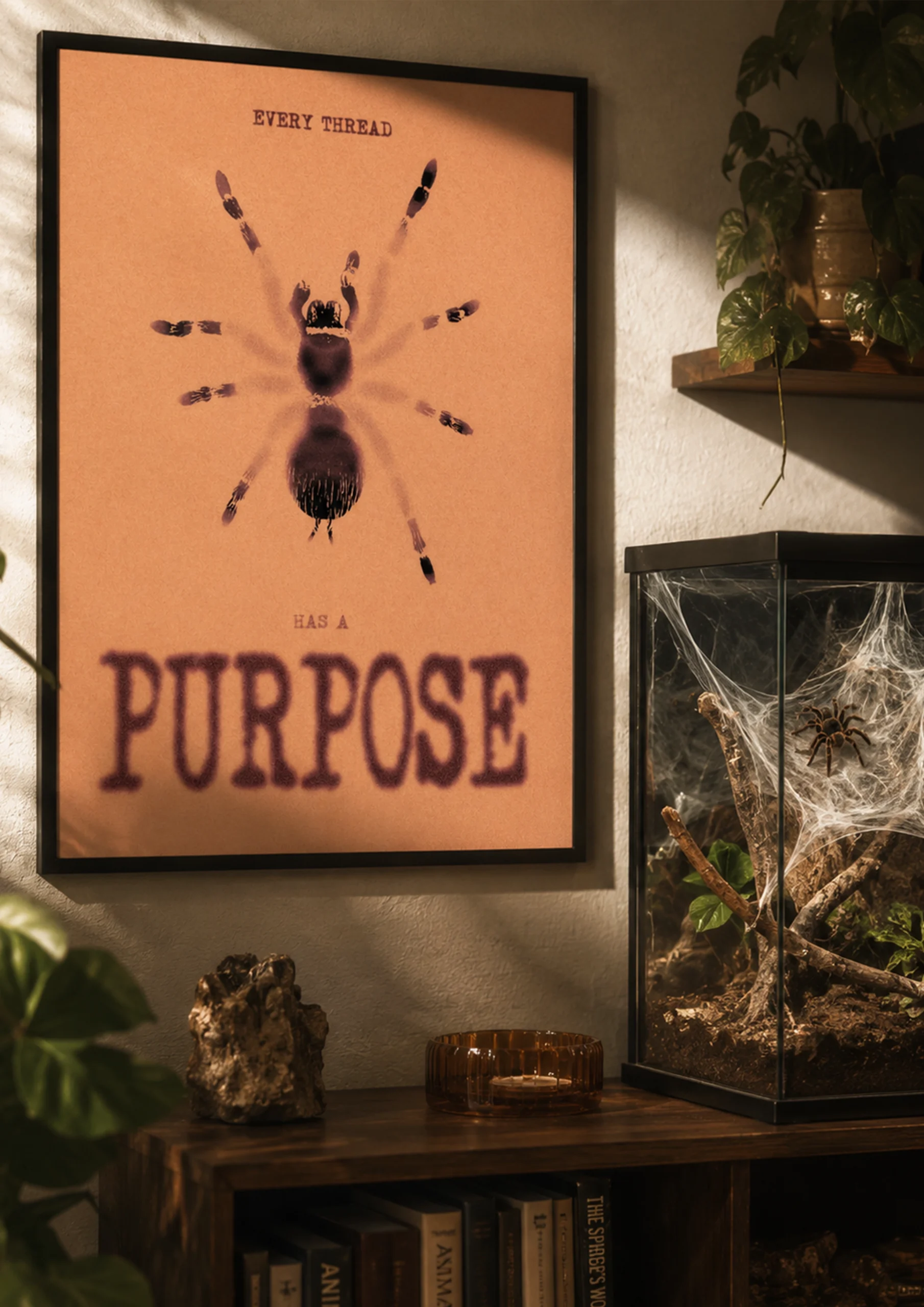 spidermockup1 spidermockup1