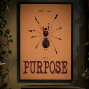 spidermockupcover